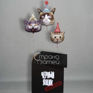 Сет "Чёрный ящик"