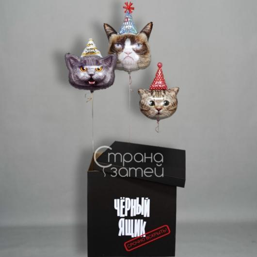 Сет "Чёрный ящик"