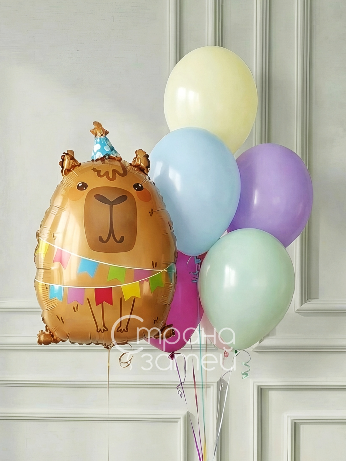 Сет шаров «Капибара-пати» с фигурой Капибара и пастельным фонтаном, Нижний Новгород