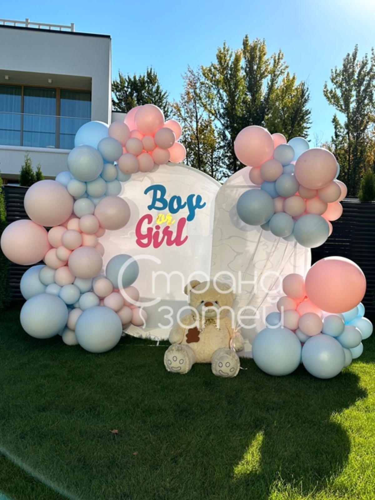 Фотозона Boy or Girl для гендер-пати, Нижний Новгород