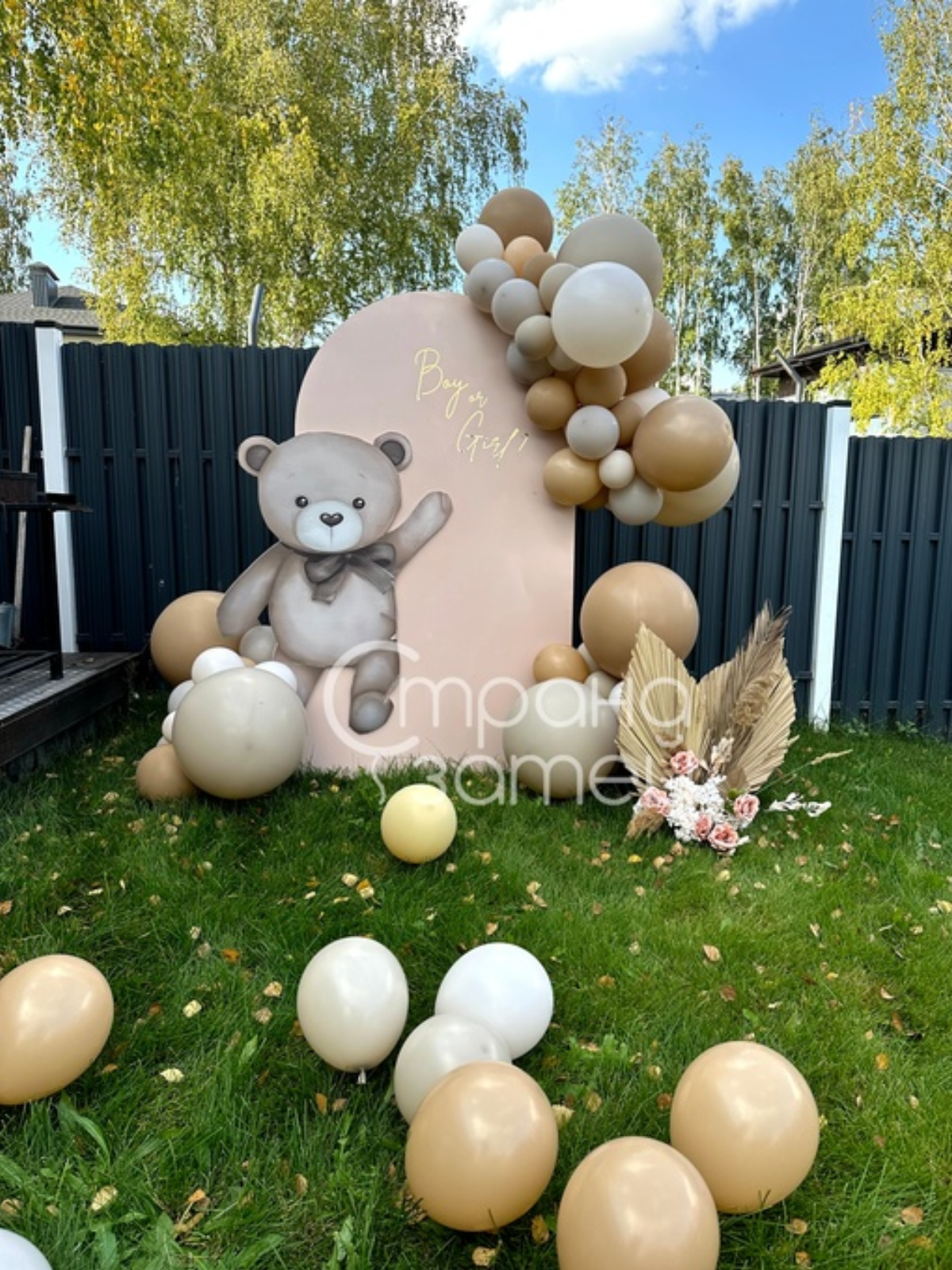 Фотозона Boy or Girl для гендер-пати, Нижний Новгород