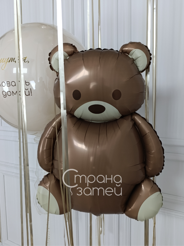 Сет шаров на выписку: шар-гигант с надписью, мишка и шары под потолок с дождём, Нижний Новгород 2