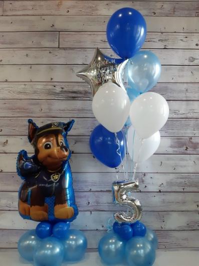 Сет "Гончик (Chase)"