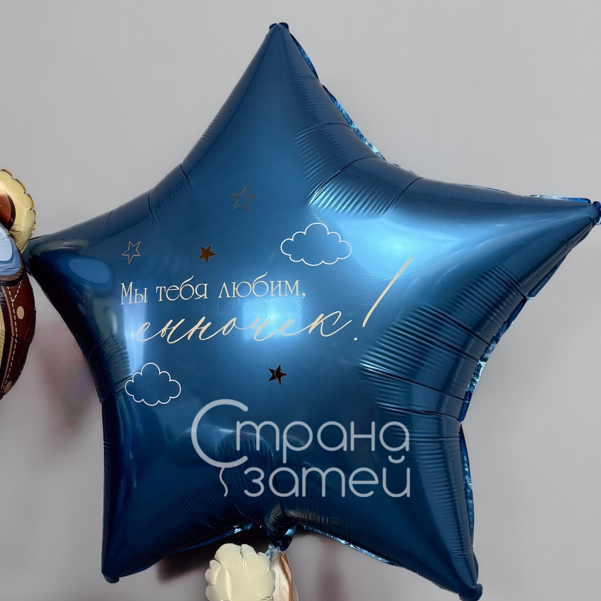 Сет шаров «Счастливый полёт», день рождения мальчика, самолёт с мишкой и звезда-гигант, Нижний Новгород