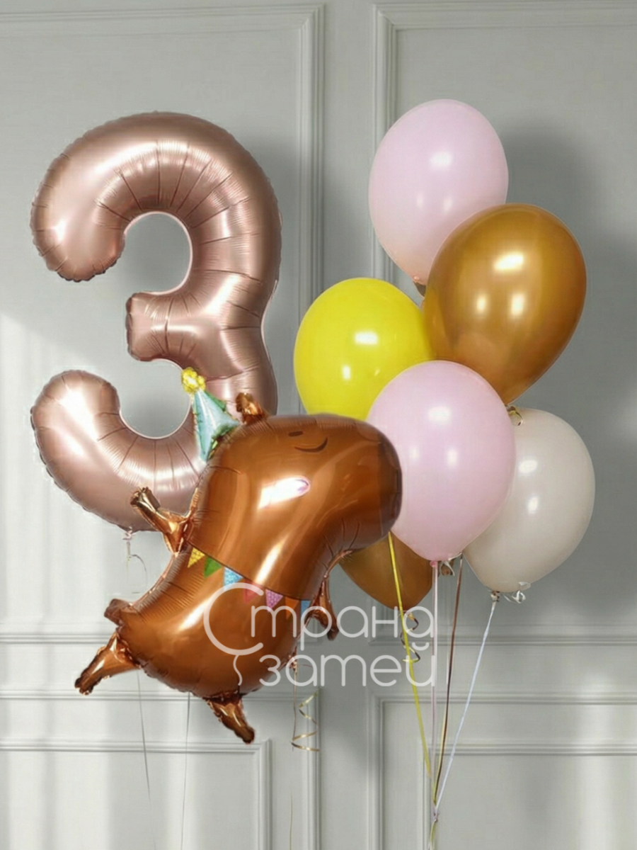 Сет шаров «Капибара для именинницы», др девочки, цифра и капибара, Нижний Новгород