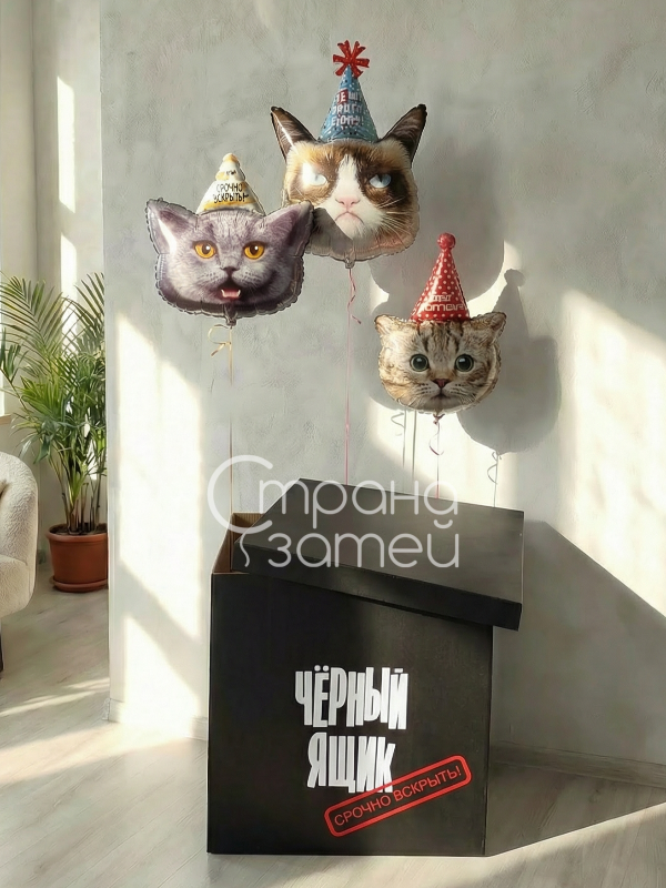 Сет шаров «Чёрный ящик с котиками», чёрная коробка-сюрприз с надписью и три фигуры котов в колпачках, для детей и взрослых, Нижний Новгород
