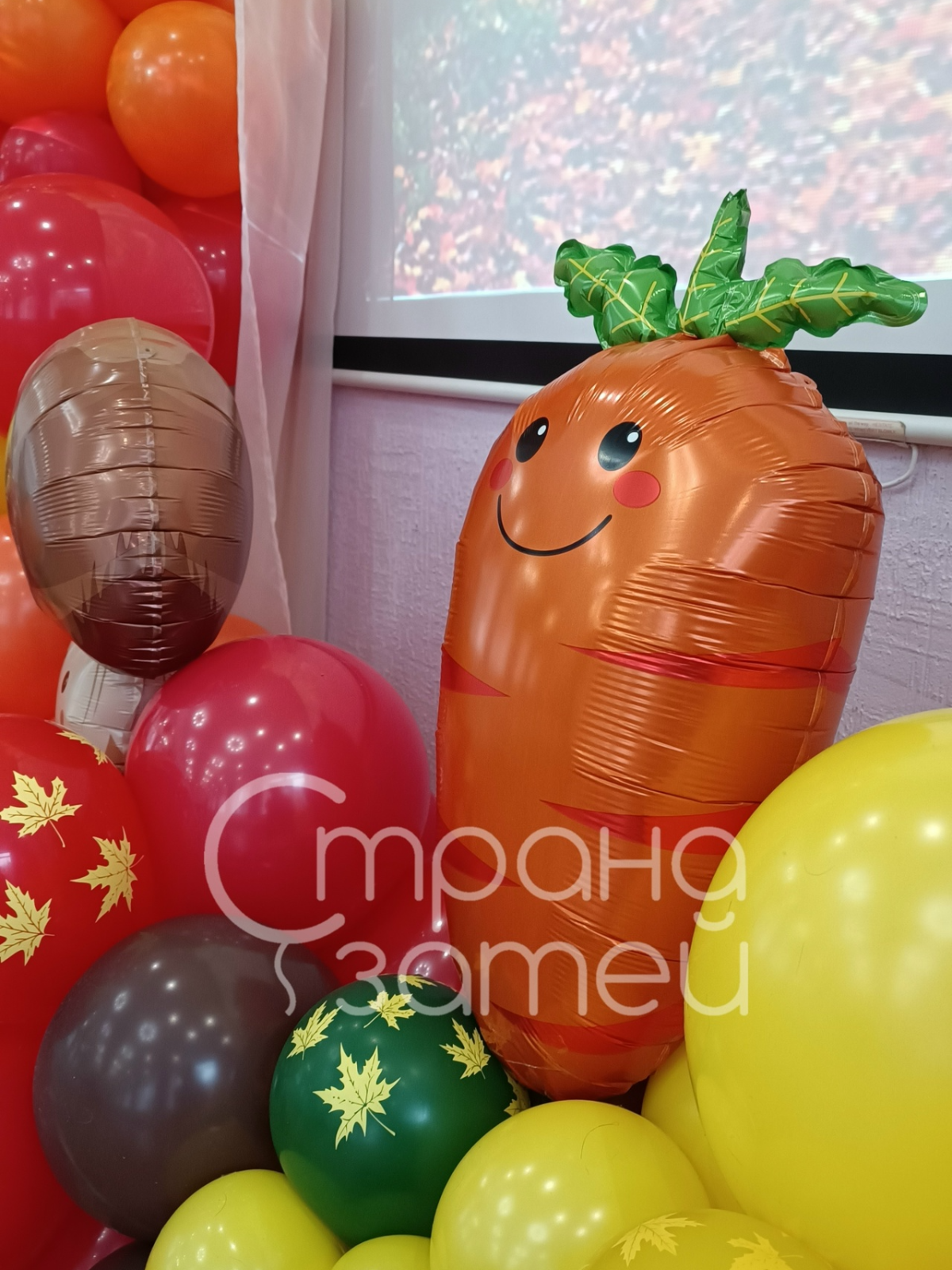 Оформление зала на праздник Осени в детском саду с гирляндой и осенними шарами, Нижний Новгород